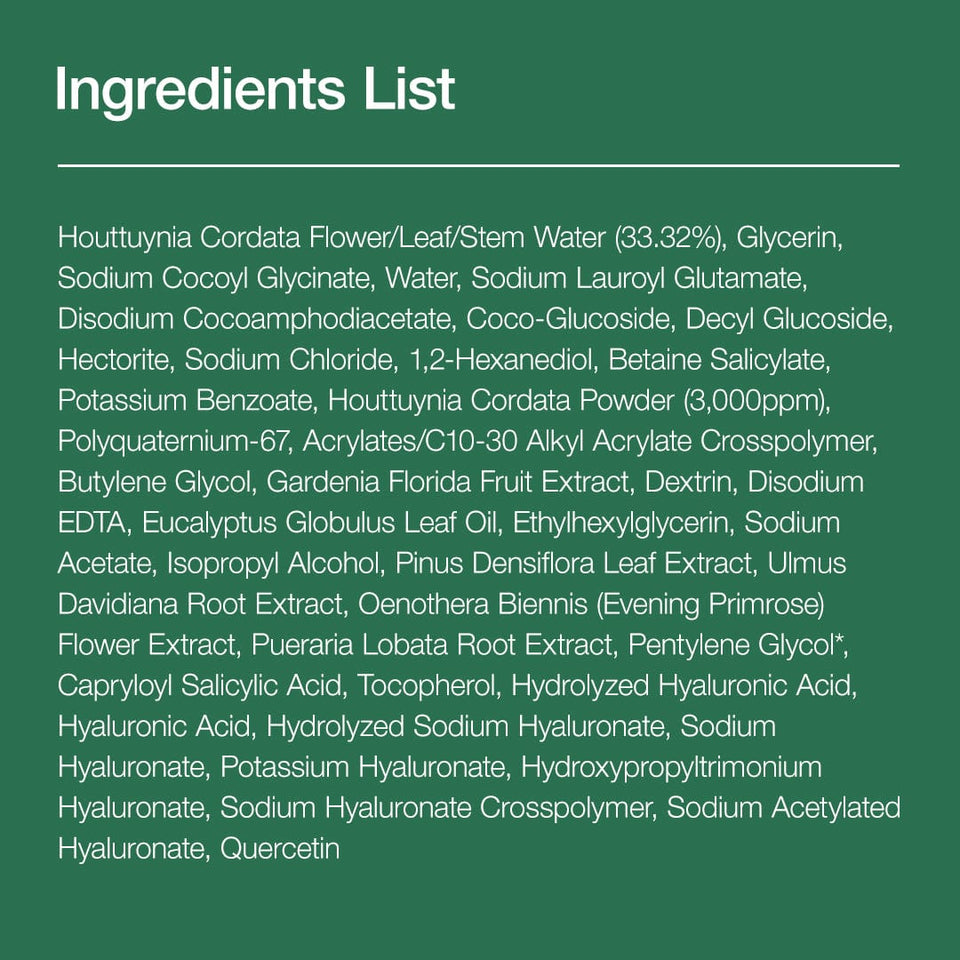 Heartleaf Quercetinol Pore Deep Cleansing Foam